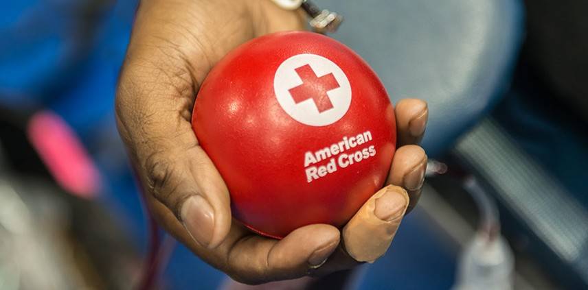 Image of a squeeze ball held in a persons hand.